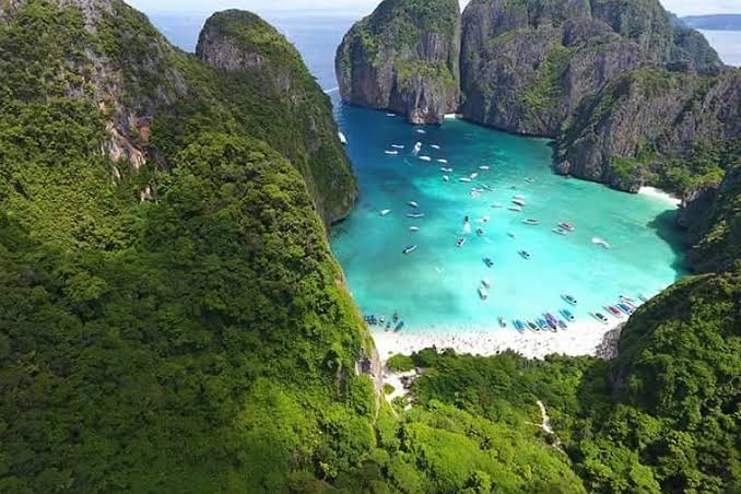 Berita Terbaru Maya Bay Tutup Selama 2 Bulan Traveler Harus Tau